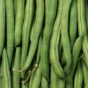 "Slenderette" Bush Bean Seeds for Planting, 50+ Heirloom Seeds Per Packet, (Isla's Garden Seeds), Non GMO Seeds, Scientific Name: Phaseolus vulgaris, Great Green Bean Variety for Home Garden