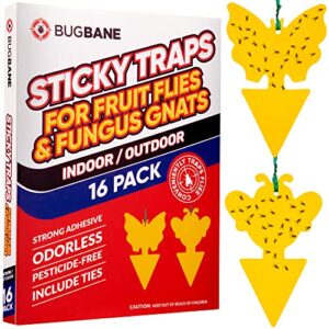 fungus gnat sticky traps for plants. 16 pack gnat traps with ties. yellow sticky traps for gnats, bugs, flying insects. outdoor gnat killer for house. knit sticky fruit fly traps for indoor houseplant
