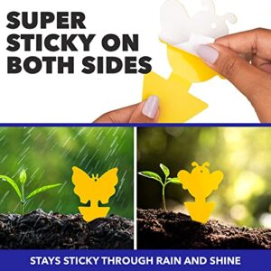 Fungus Gnat Sticky Traps For Plants. 16 Pack Gnat Traps with Ties. Yellow Sticky Traps for Gnats, Bugs, Flying Insects. Outdoor Gnat Killer For House. Knit Sticky Fruit Fly Traps for Indoor Houseplant