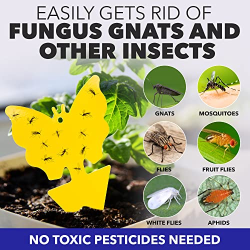 Fungus Gnat Sticky Traps For Plants. 16 Pack Gnat Traps with Ties. Yellow Sticky Traps for Gnats, Bugs, Flying Insects. Outdoor Gnat Killer For House. Knit Sticky Fruit Fly Traps for Indoor Houseplant