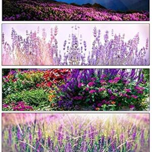 "Sensation Mix" Cosmos Flower Seeds for Planting, 100+ Seeds Per Packet, (Isla's Garden Seeds), Non GMO & Heirloom Seeds, Scientific Name: Cosmos bipinnatus, Great Home Flower Garden Gift