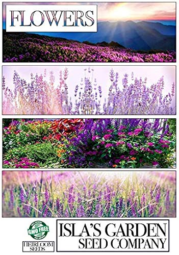 "Sensation Mix" Cosmos Flower Seeds for Planting, 100+ Seeds Per Packet, (Isla's Garden Seeds), Non GMO & Heirloom Seeds, Scientific Name: Cosmos bipinnatus, Great Home Flower Garden Gift