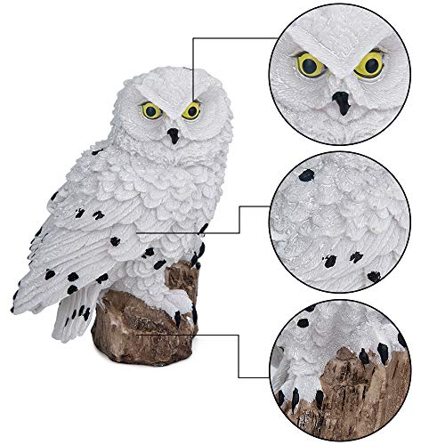 ASFSKY Solar Owl Garden Decorations LED Owl Hanging Ring Statue Retro Metal Waterproof for Outdoor Decorative Owl Ornament Owl Gifts for Owl Lovers (White)