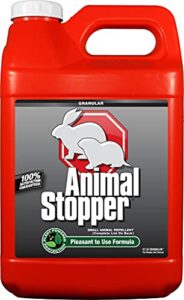 animal stopper granular – safe & effective, food grade ingredients; for use against groundhogs, rabbits, skunks, raccoons and other garden animals; ready to use, 12 lbs