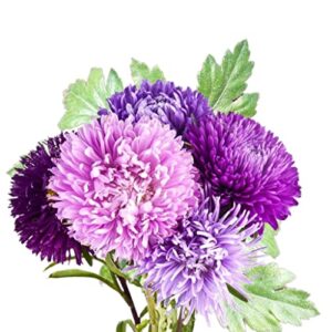 jays seeds chrysanthemum seeds (mum) seeds 150 seeds (style #3)