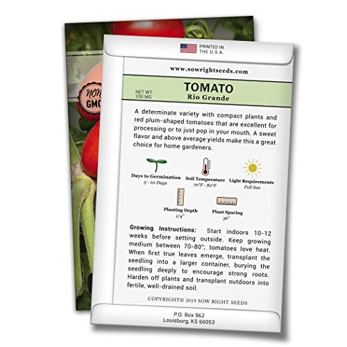 Sow Right Seeds - Rio Grande Tomato Seed for Planting - Non-GMO Heirloom Packet with Instructions to Plant a Home Vegetable Garden - Great Gardening Gift (1)