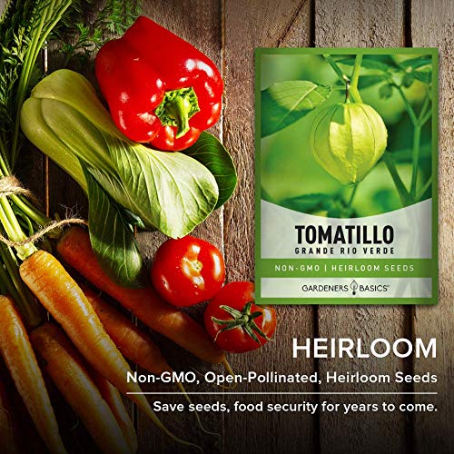 Tomatillo Grande Rio Verde Seeds for Planting Heirloom Non-GMO Seeds for Home Garden Vegetables Makes a Great Gift for Gardening by Gardeners Basics