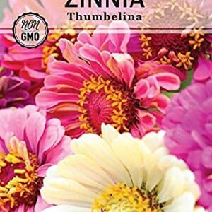 Sow Right Seeds - Zinnia Flower Seeds Collection - Five packets - Luminosa, Canary Bird, California Giants, Envy, and Thumbelina - Full instructions for planting - Wonderful gardening gifts