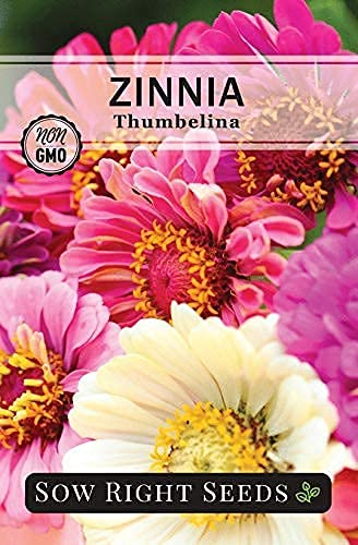 Sow Right Seeds - Zinnia Flower Seeds Collection - Five packets - Luminosa, Canary Bird, California Giants, Envy, and Thumbelina - Full instructions for planting - Wonderful gardening gifts