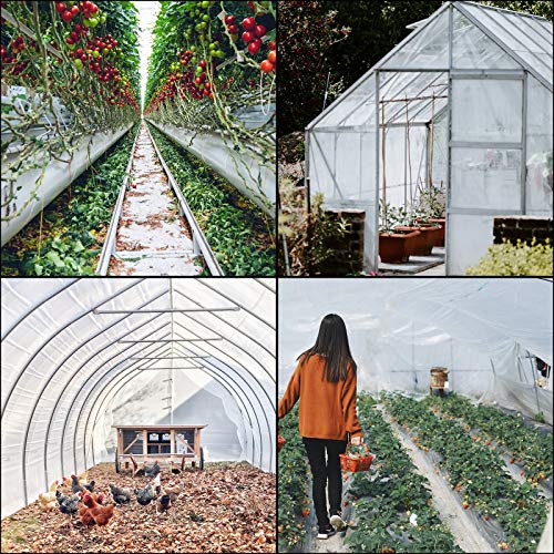 Happybuy Greenhouse Film 8 x 25 ft, Greenhouse Polyethylene Film 6 Mil, Clear Greenhouse Plastic Greenhouse Plastic Film UV Resistant, Polyethylene Film to Keep Warming, Superior Strength