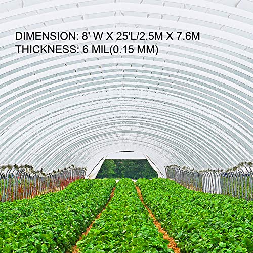 Happybuy Greenhouse Film 8 x 25 ft, Greenhouse Polyethylene Film 6 Mil, Clear Greenhouse Plastic Greenhouse Plastic Film UV Resistant, Polyethylene Film to Keep Warming, Superior Strength