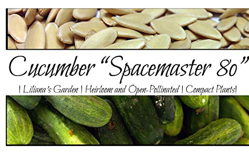 Ultra-Compact Cucumber Plant Seeds “Space Master 80” - Ideal for Container Gardens and Patio Gardens – Heirloom Seeds | Liliana's Garden |