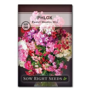 sow right seeds – pastel shades mixed phlox flower seeds for planting – beautiful flowers to plant in your home pollinator garden – non-gmo heirloom seeds – colorful annual – great gardening gift
