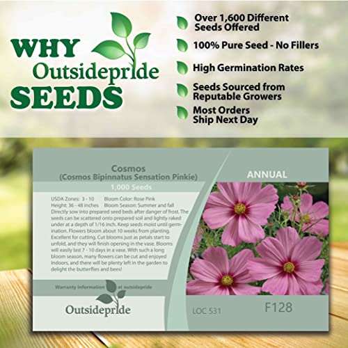 Outsidepride Cosmos Bipinnatus Pinkie Garden Cut Flowers - 1000 Seeds