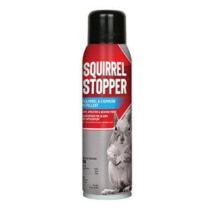 messina wildlife squirrel stopper repellent – safe & effective, all natural food grade ingredients; repels squirrels and chipmunks; ready to use, 15 oz. spray can