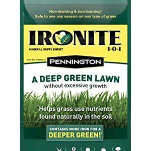 Central Garden & Pet Co Pennington Ironite All-Purpose 1-0-1 Lawn & Garden Fertilizer 5000 sq. ft. for All Grasses - Total Qty: 1