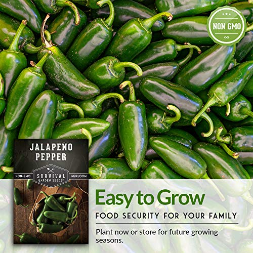 Survival Garden Seeds Pepper Collection Seed Vault - Non-GMO Heirloom Vegetable Seeds for Planting - Sweet and Hot Pepper - Jalapeño, Cayenne, California Wonder, Marconi Red Peppers