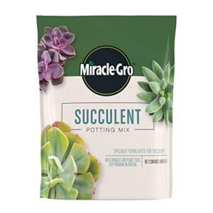 miracle-gro succulent potting mix: fertilized soil with premium nutrition for indoor cactus plants, aloe vera and more, 4 qt.