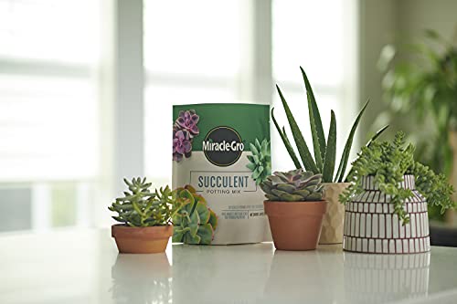 Miracle-Gro Succulent Potting Mix: Fertilized Soil with Premium Nutrition for Indoor Cactus Plants, Aloe Vera and More, 4 qt.