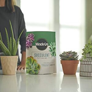 Miracle-Gro Succulent Potting Mix: Fertilized Soil with Premium Nutrition for Indoor Cactus Plants, Aloe Vera and More, 4 qt.