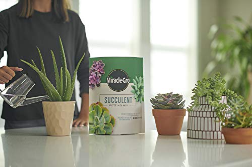 Miracle-Gro Succulent Potting Mix: Fertilized Soil with Premium Nutrition for Indoor Cactus Plants, Aloe Vera and More, 4 qt.