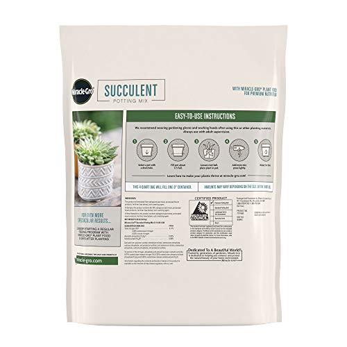 Miracle-Gro Succulent Potting Mix: Fertilized Soil with Premium Nutrition for Indoor Cactus Plants, Aloe Vera and More, 4 qt.