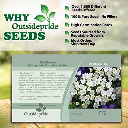 Outsidepride Bellflower Campanula Carpatica White Garden Flower Plant Seed - 10000 Seeds