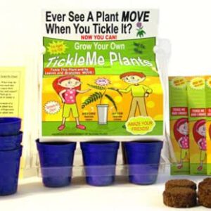 TickleMe Plant Greenhouse Garden Kit Grow The Only House Plant That Closes Its Leaves and Lowers It Branches When You Tickle It. Unique Nature or Birthday Science Idea for Kids