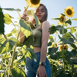 Skyscraper Sunflower Seeds for Planting | 20 Seeds | Rare, Exotic Garden Seeds | Huge 15-20 feet Tall with Giant Sunflowers