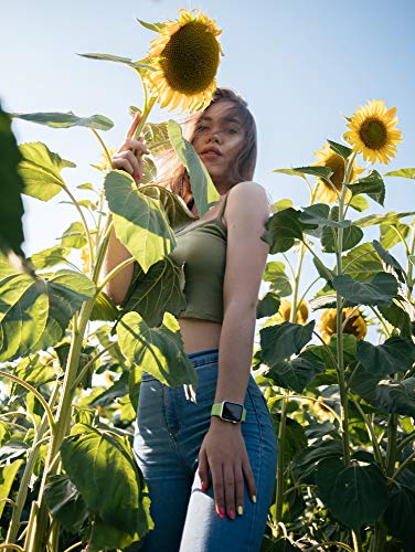 Skyscraper Sunflower Seeds for Planting | 20 Seeds | Rare, Exotic Garden Seeds | Huge 15-20 feet Tall with Giant Sunflowers