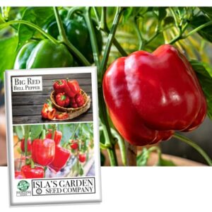 big red bell pepper seeds for planting, 50+ heirloom seeds per packet, (isla’s garden seeds), non gmo seeds, botanical name: capsicum annuum, great home garden gift