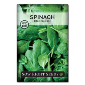 sow right seeds – bloomsdale spinach seeds for planting – non-gmo heirloom packet with instructions to plant and grow an outdoor home vegetable garden – vigorous leafy green – wonderful gardening gift