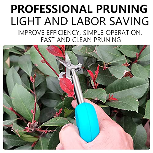 HLIGHT Portable Pointed Fruit Shears Picking Fruit Shears Cut Bud Pepper Pruning Gardening Cutter Household Garden Utility Tools,Blue