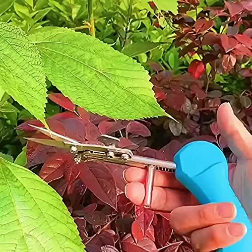 HLIGHT Portable Pointed Fruit Shears Picking Fruit Shears Cut Bud Pepper Pruning Gardening Cutter Household Garden Utility Tools,Blue