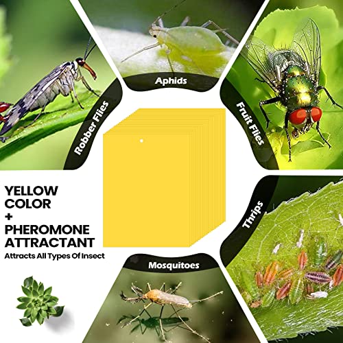 400 Pieces Sticky Traps for Gnats Yellow Dual Sided Sticky Traps for Indoor and Outdoor Fruit Fly Plant Sticky Traps with Twist Ties and Plastic Holders for Flying Plant Insect, Fungus Gnats