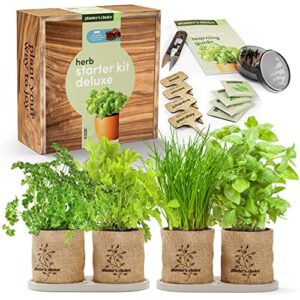 herb garden starter kit deluxe – culinary herb gardening seeds for indoor home planting with wooden gift box – perfect kitchen cooking gift for women or men gardener. unusual adult plant growing gifts