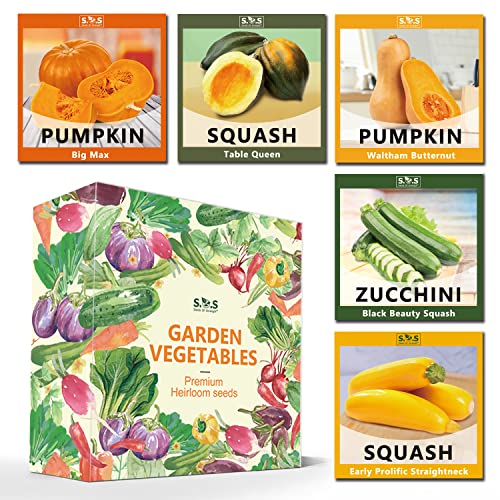 Planting 5 Individual Packets W/Garden Gift Box- Pumpkin, Big Max Pumpkin, Table Queen Squash, Straightneck Squash and Zucchini for Your Non GMO Heirloom Vegetable Garden (5 Variety Pumpkin Seeds)