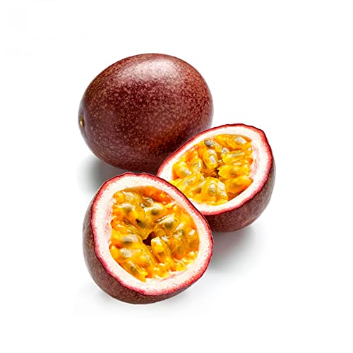 QAUZUY GARDEN 30 Seeds Passion Fruit Seeds Passiflora Passionflower Vine Maypop Granadilla Edulis Seeds- Organic Non-GMO Seeds- Fast-Growing &Low-Maintenance