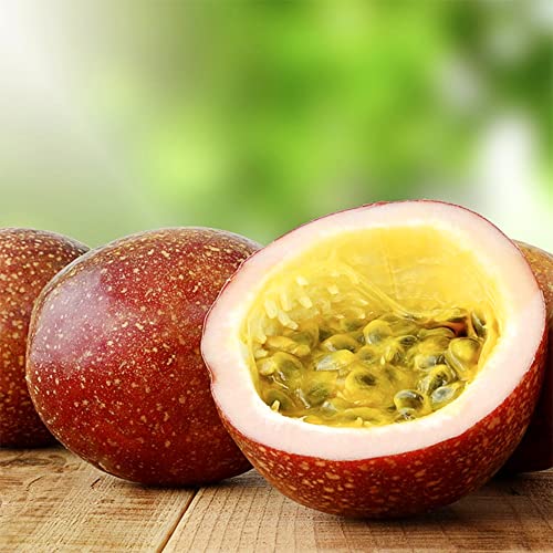 QAUZUY GARDEN 30 Seeds Passion Fruit Seeds Passiflora Passionflower Vine Maypop Granadilla Edulis Seeds- Organic Non-GMO Seeds- Fast-Growing &Low-Maintenance