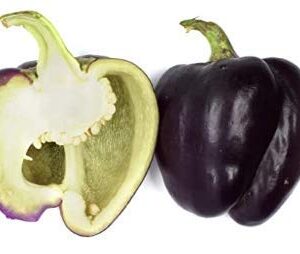 Purple Beauty Sweet Bell Pepper Seeds for Planting, 100+ Heirloom Seeds Per Packet, (Isla's Garden Seeds), Non GMO Seeds, Botanical Name: Capsicum annuum, Great Home Garden Gift