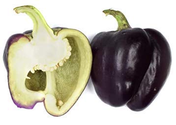 Purple Beauty Sweet Bell Pepper Seeds for Planting, 100+ Heirloom Seeds Per Packet, (Isla's Garden Seeds), Non GMO Seeds, Botanical Name: Capsicum annuum, Great Home Garden Gift