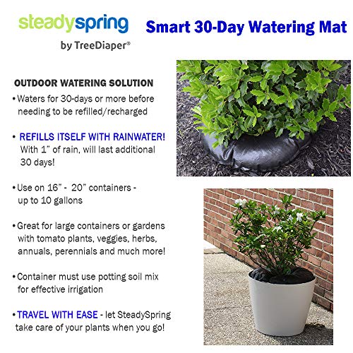 SteadySpring by TreeDiaper Smart 30-Day Watering Mat for Tomato Plants, Peppers, Veggies, Perennials, Annuals - Self-Fills with Rain (1)