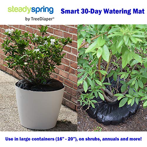 SteadySpring by TreeDiaper Smart 30-Day Watering Mat for Tomato Plants, Peppers, Veggies, Perennials, Annuals - Self-Fills with Rain (1)