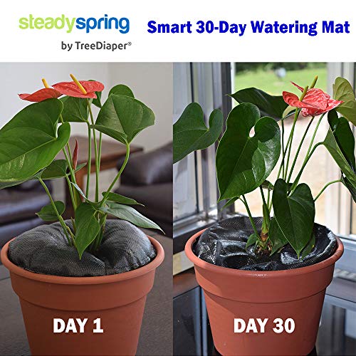 SteadySpring by TreeDiaper Smart 30-Day Watering Mat for Tomato Plants, Peppers, Veggies, Perennials, Annuals - Self-Fills with Rain (1)