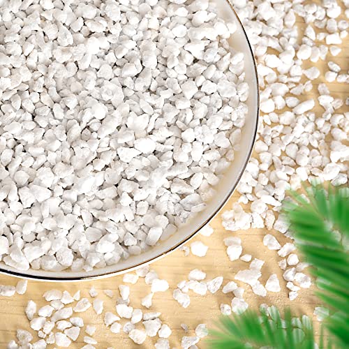 Perlite for Plants - 8QT Organic Perlite Bulk for Indoor Plants, Succulents, Vegetables, Garden, Horticultural Perlite for Soil, Potting Soil Mix, Root Cuttings, Seed Starting