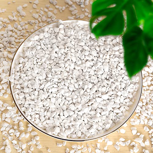 Perlite for Plants - 8QT Organic Perlite Bulk for Indoor Plants, Succulents, Vegetables, Garden, Horticultural Perlite for Soil, Potting Soil Mix, Root Cuttings, Seed Starting