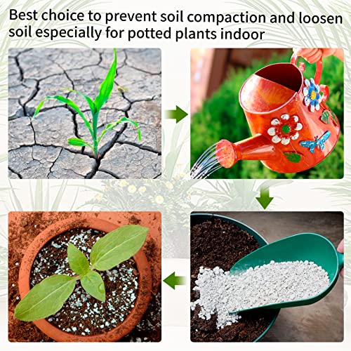 Perlite for Plants - 8QT Organic Perlite Bulk for Indoor Plants, Succulents, Vegetables, Garden, Horticultural Perlite for Soil, Potting Soil Mix, Root Cuttings, Seed Starting