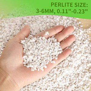 Perlite for Plants - 8QT Organic Perlite Bulk for Indoor Plants, Succulents, Vegetables, Garden, Horticultural Perlite for Soil, Potting Soil Mix, Root Cuttings, Seed Starting