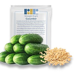 50 Straight Eight Cucumber Seeds - Heirloom Non-GMO USA Grown Vegetable Seeds for Planting - Pickling and Slicing Cucumber