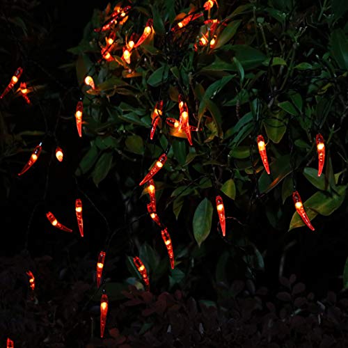 Amants01 Solar Chili String Lights,Red Chili Pepper String Lights 50 LEDs Solar String Lights for Home,Gardens,Park,Patios Decoration,Party,Wedding,Xmas,Chinese New Year.
